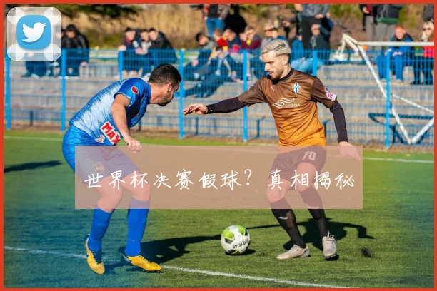 世界杯决赛假球？真相揭秘