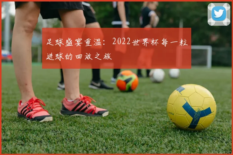 足球盛宴重温：2022世界杯每一粒进球的回放之旅