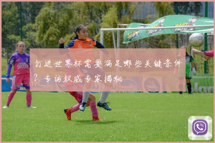 打进世界杯需要满足哪些关键条件？专访权威专家揭秘