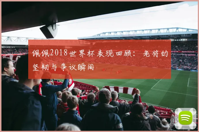 佩佩2018世界杯表现回顾：老将的坚韧与争议瞬间