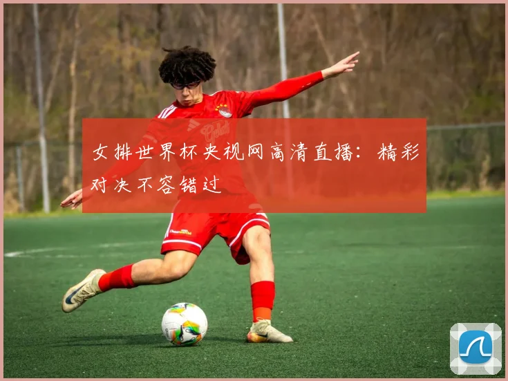 女排世界杯央视网高清直播:精彩对决不容错过