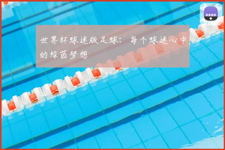 世界杯球迷版足球:每个球迷心中的绿茵梦想
