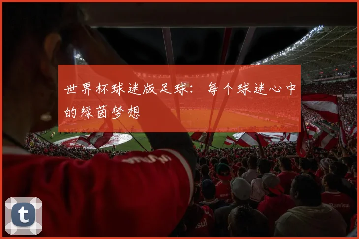 世界杯球迷版足球:每个球迷心中的绿茵梦想