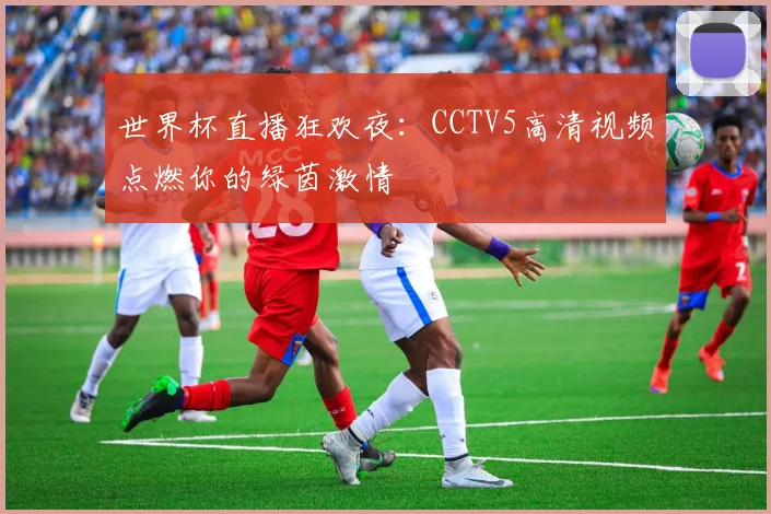 世界杯直播狂欢夜:CCTV5高清视频点燃你的绿茵激情