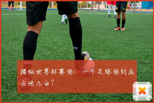 揭秘世界杯赛场:一个足球场到底占地几亩?