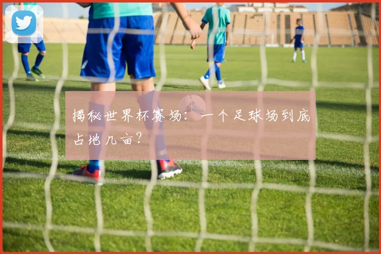 揭秘世界杯赛场:一个足球场到底占地几亩?